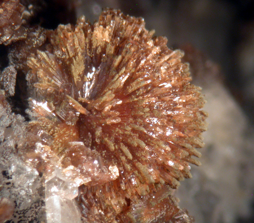 Zanazziite Eosphorite & Albite