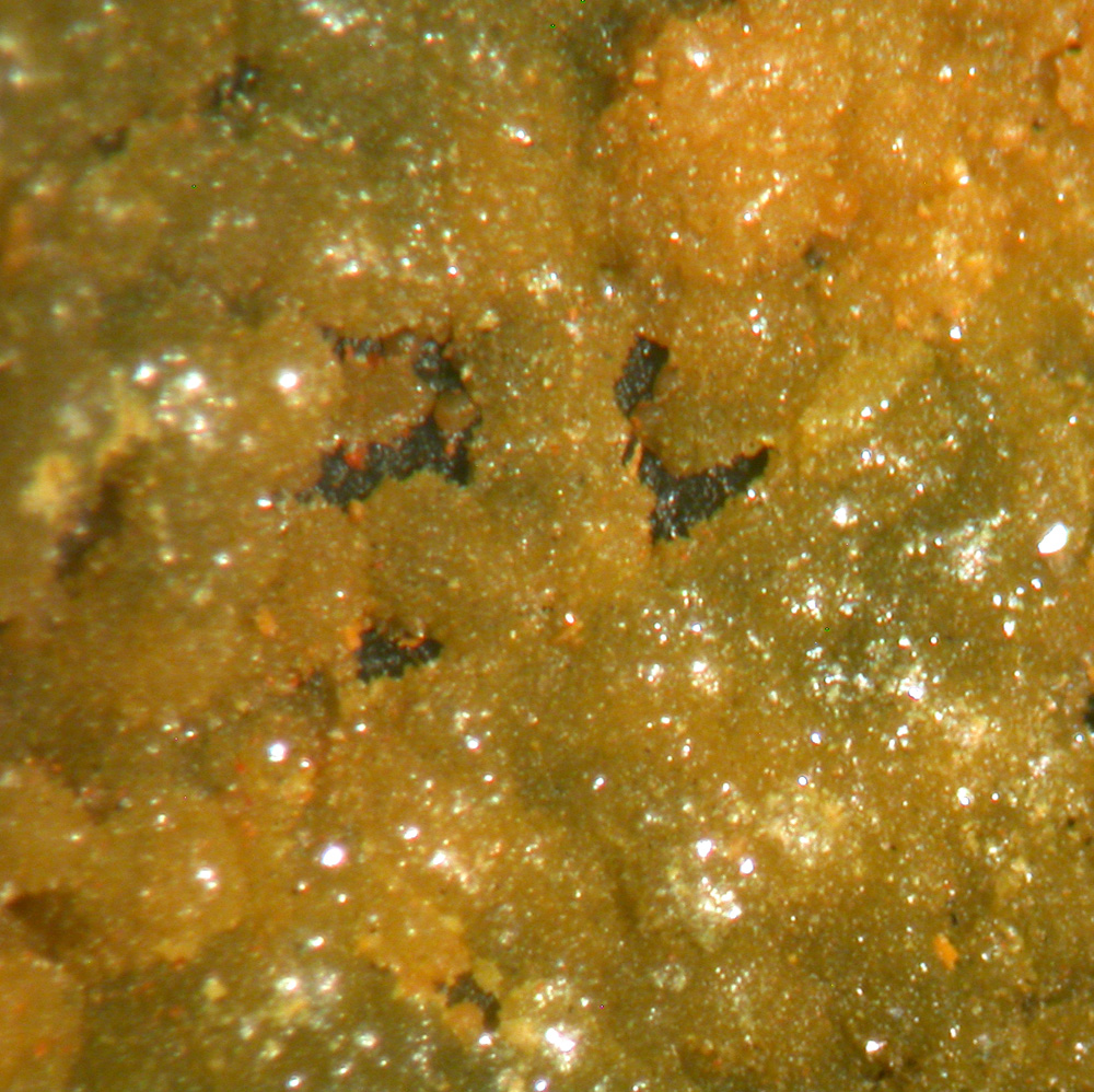 Anorpiment & Sphalerite