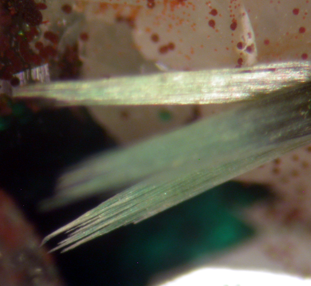 Olivenite & Cornwallite