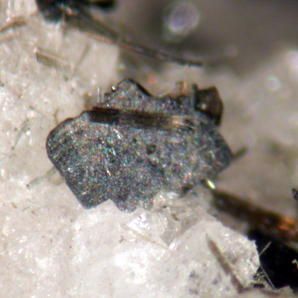 Anatase Brookite & Tourmaline