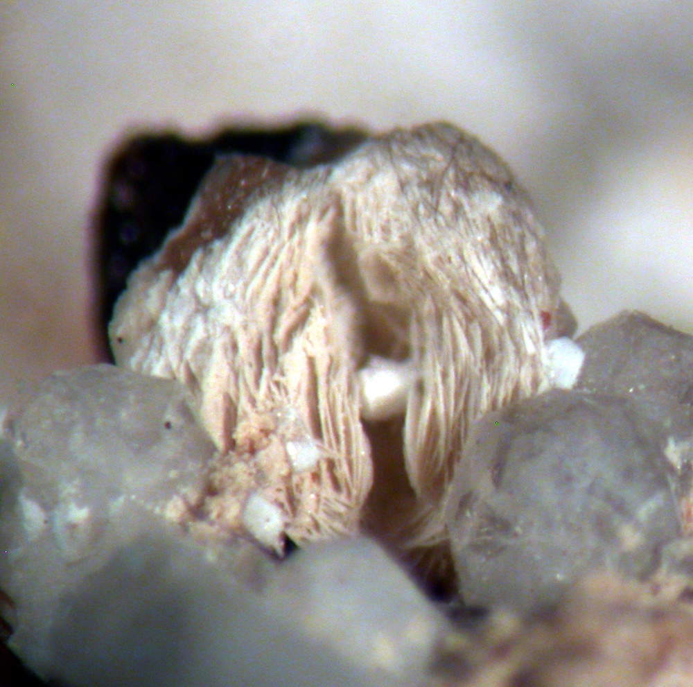 Leucophanite & Sérandite