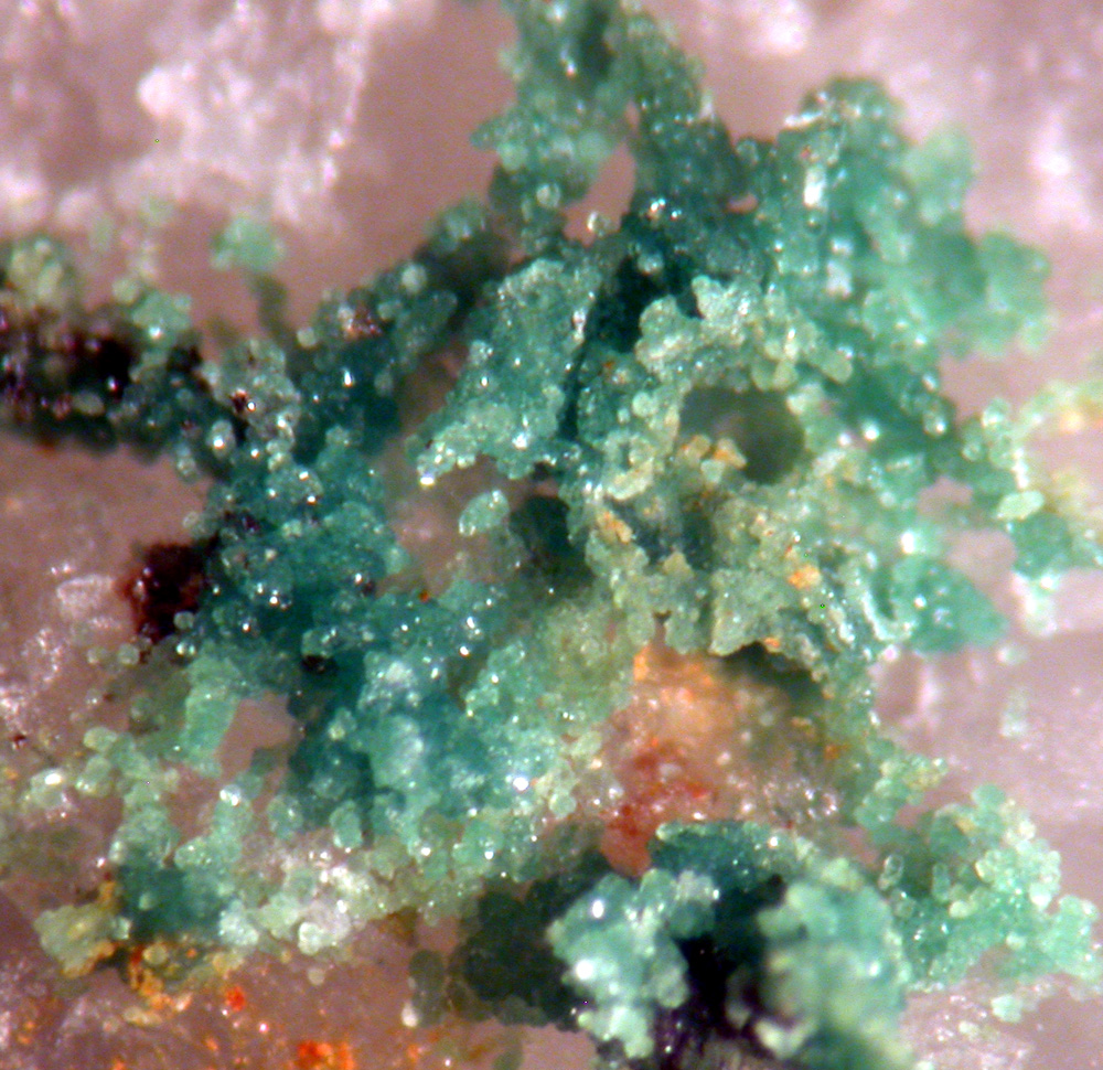 Chalcosiderite & Strengite