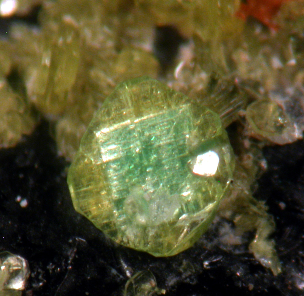 Autunite