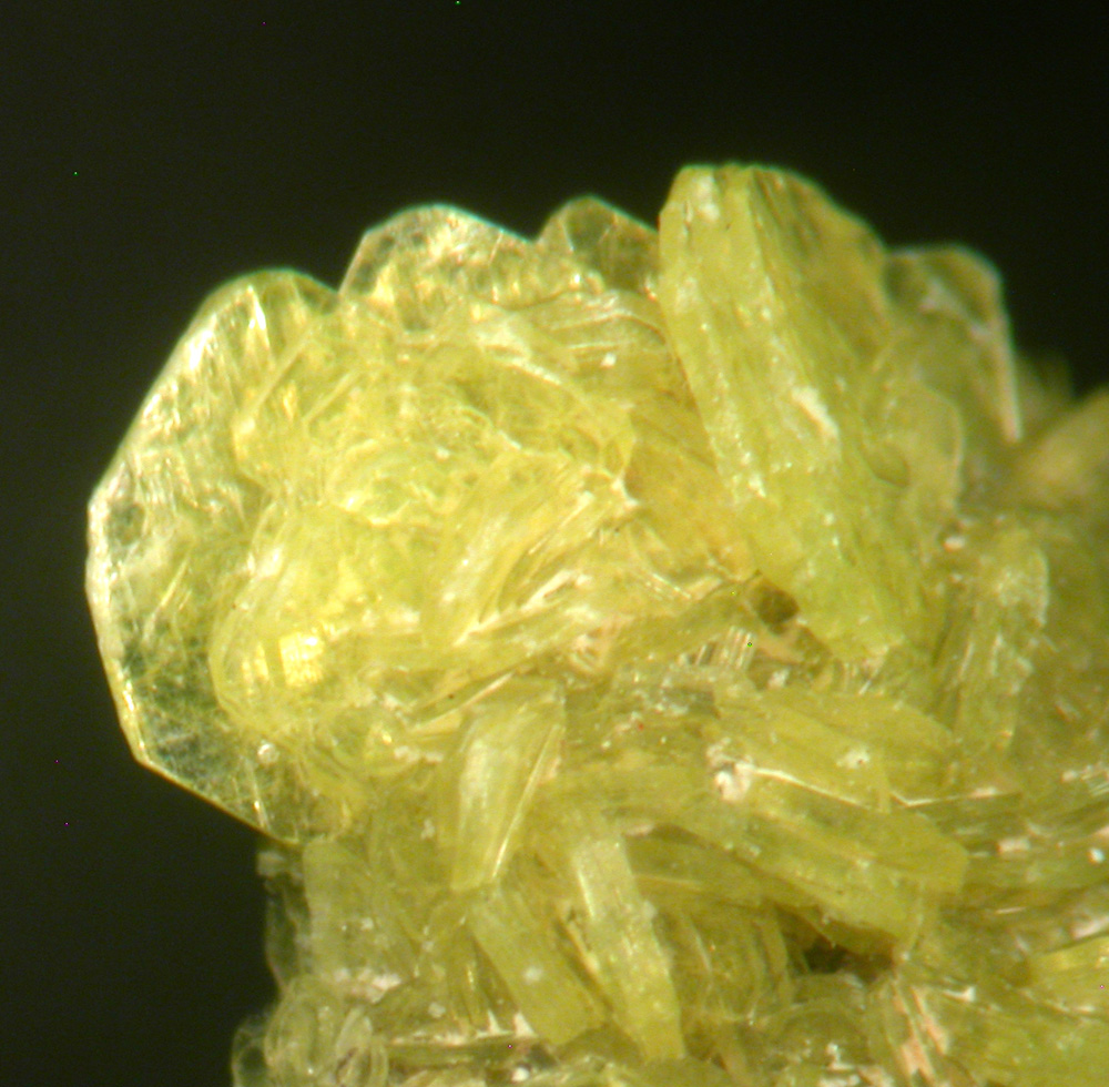 Autunite