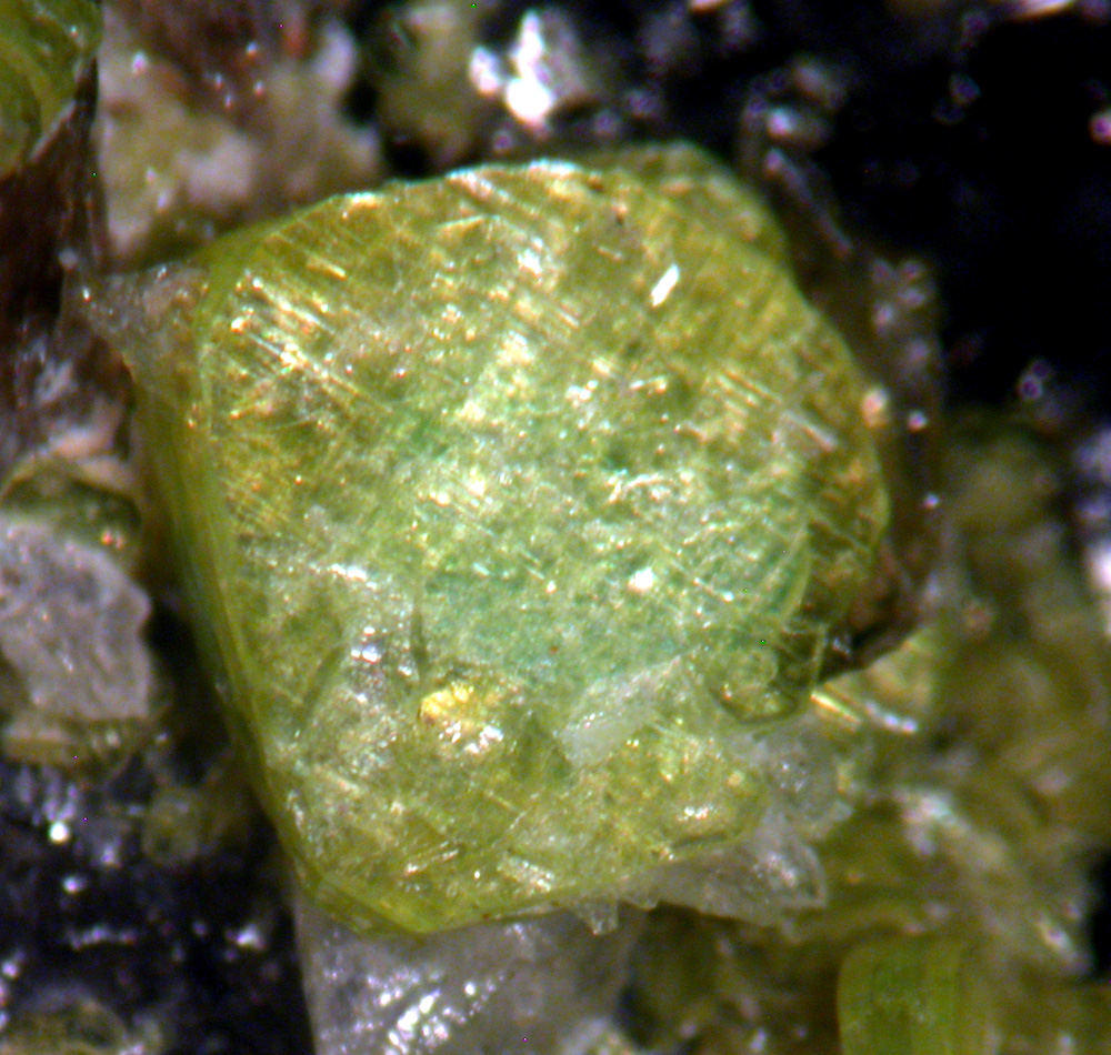 Autunite