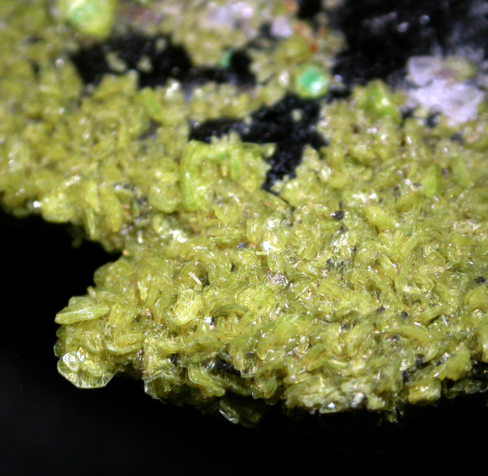 Autunite
