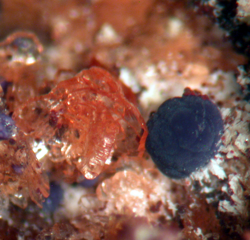 Hureaulite Phosphosiderite Jahnsite & Stewartite