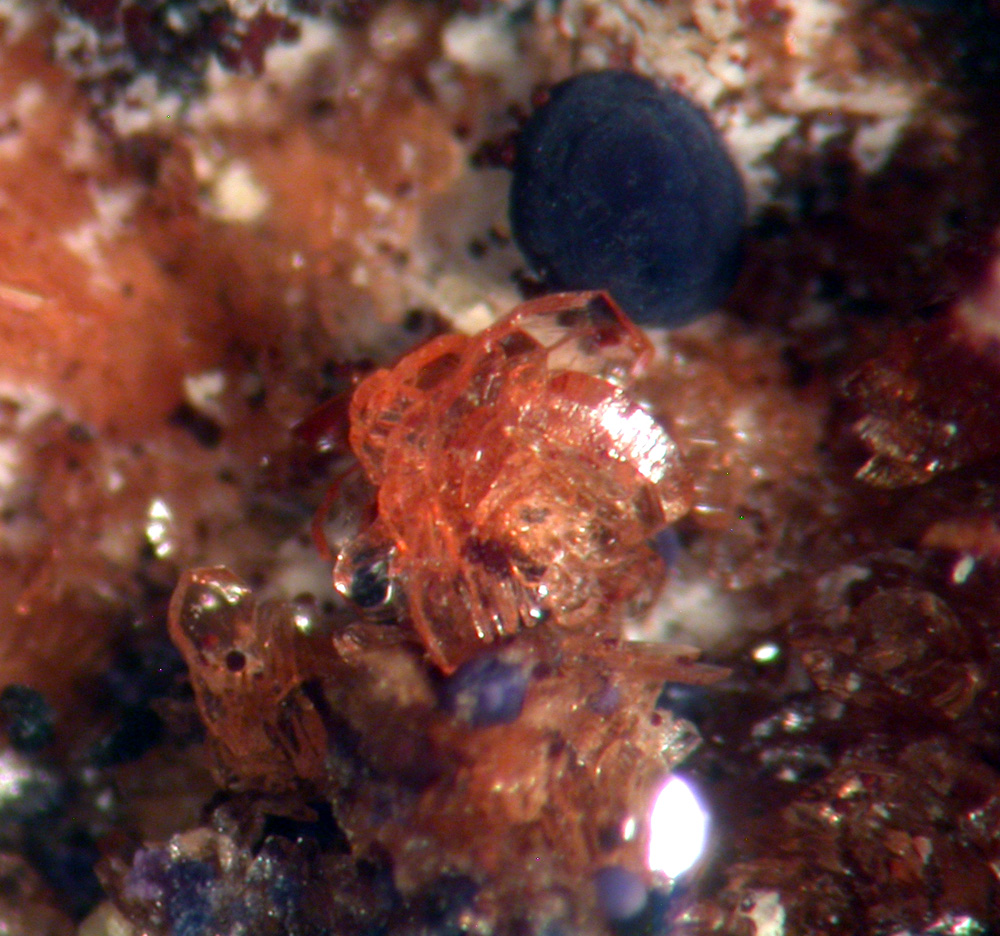 Hureaulite Phosphosiderite Jahnsite & Stewartite