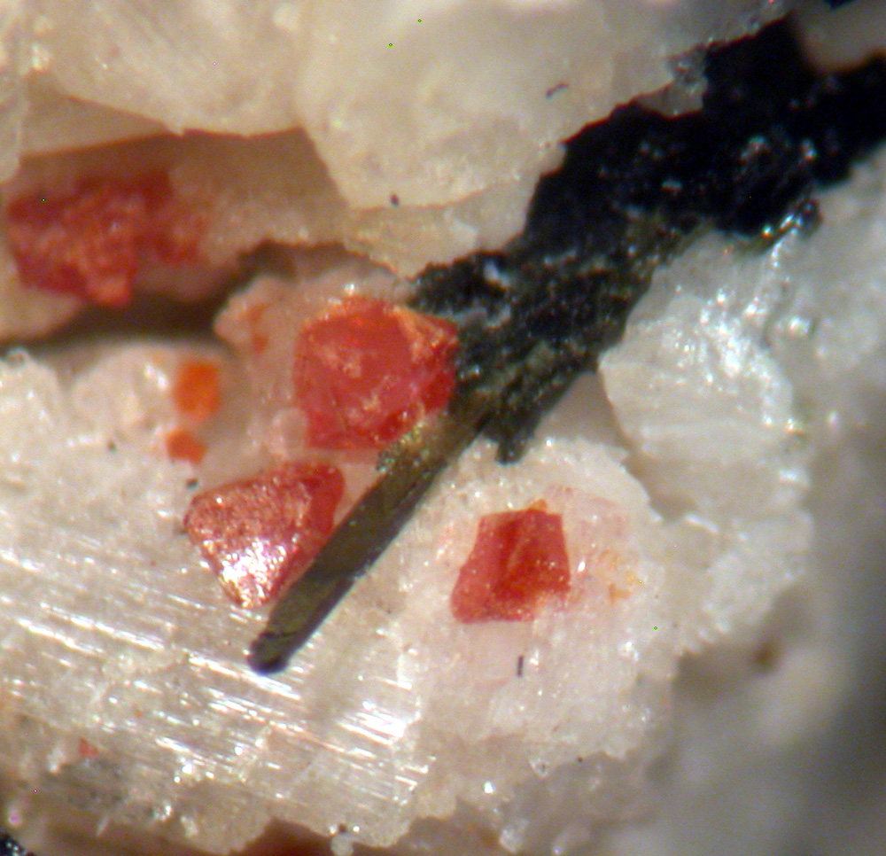 Ferro-katophorite Astrophyllite Fluornatropyrochlore & Zircon