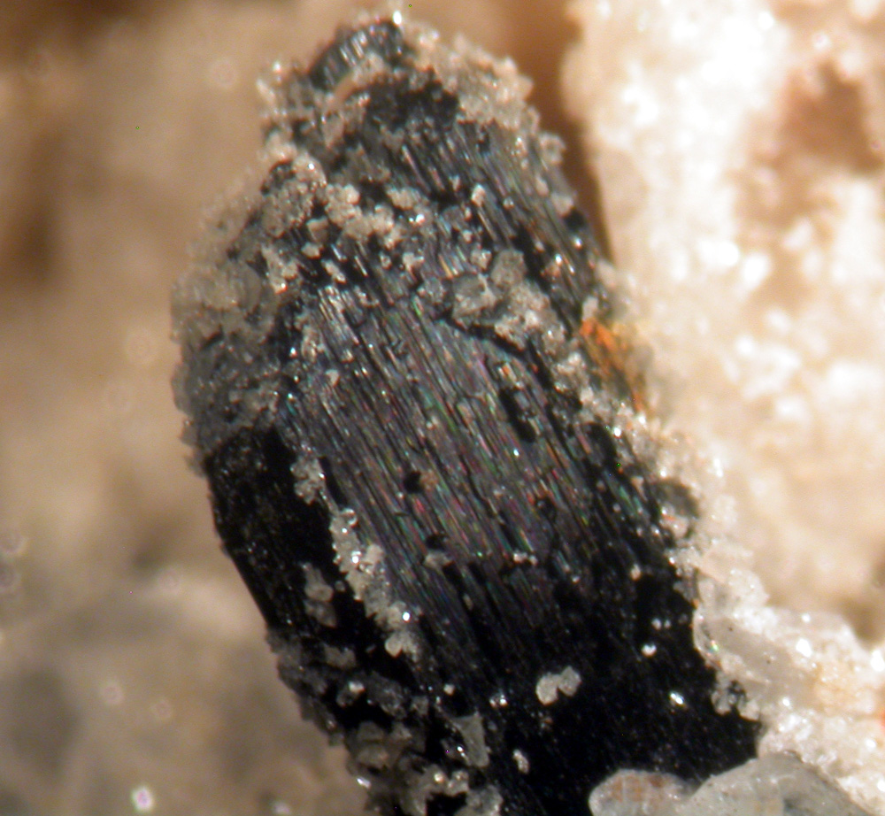 Ferro-katophorite Astrophyllite Fluornatropyrochlore & Zircon