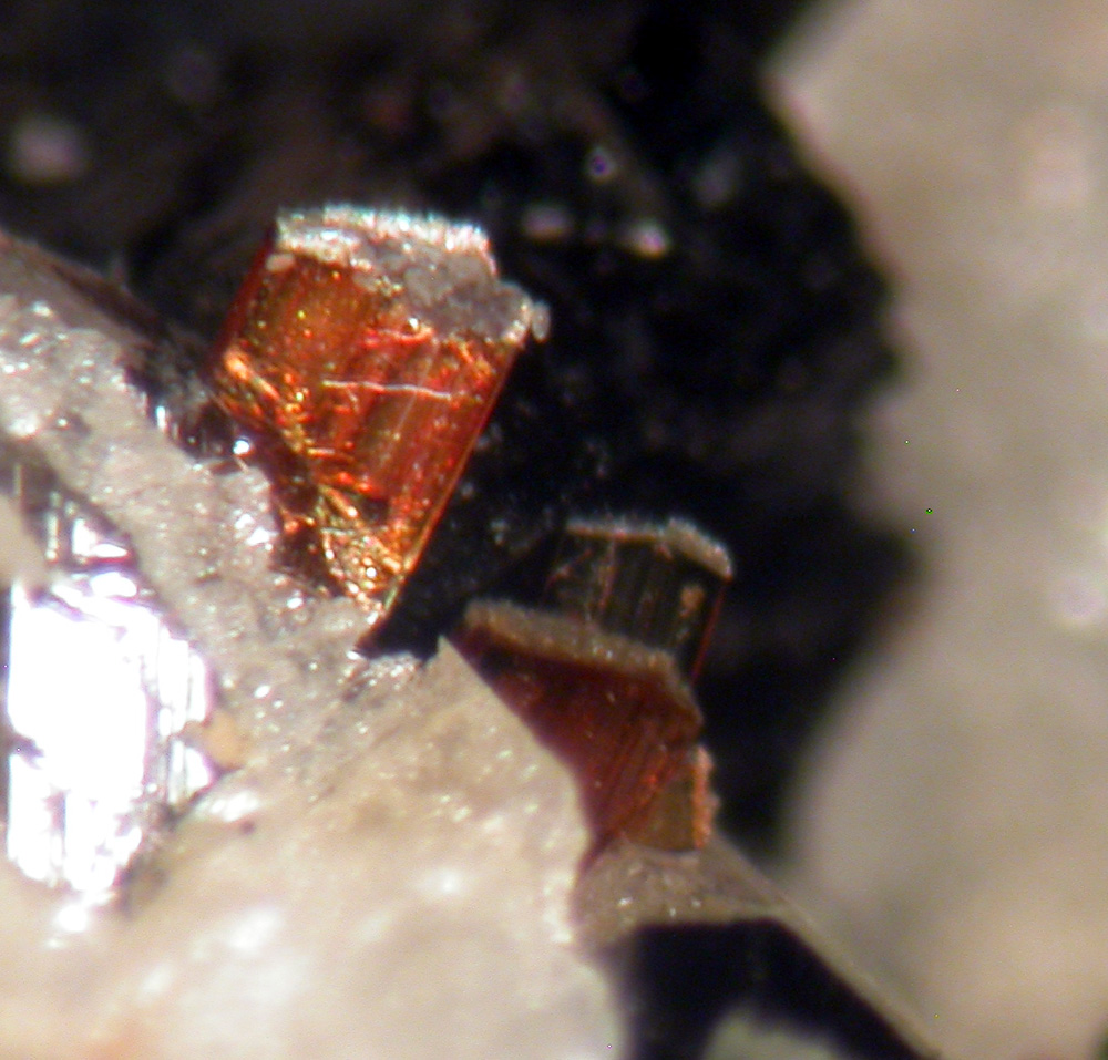 Ferro-katophorite Astrophyllite Fluornatropyrochlore & Zircon