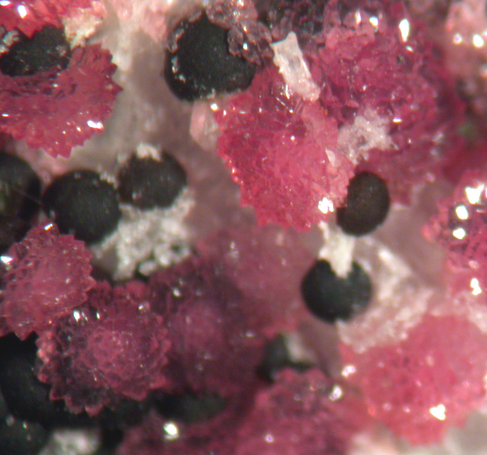 Variscite & Dufrénite