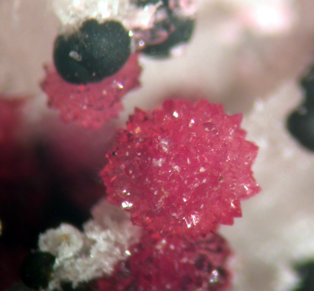 Variscite & Dufrénite