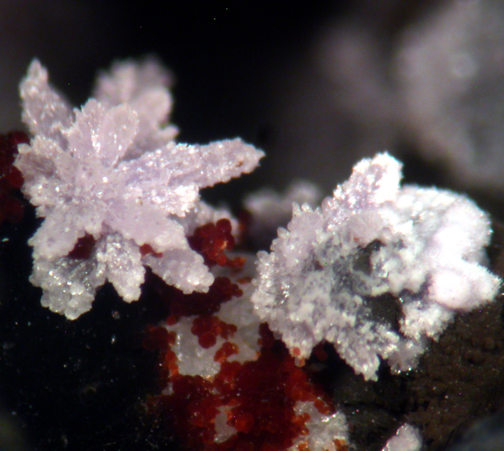 Strengite Cacoxenite Variscite & Beraunite