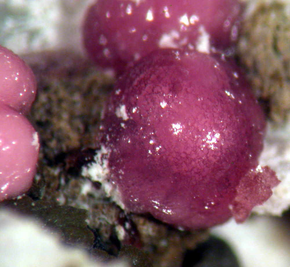 Variscite & Leucophosphite