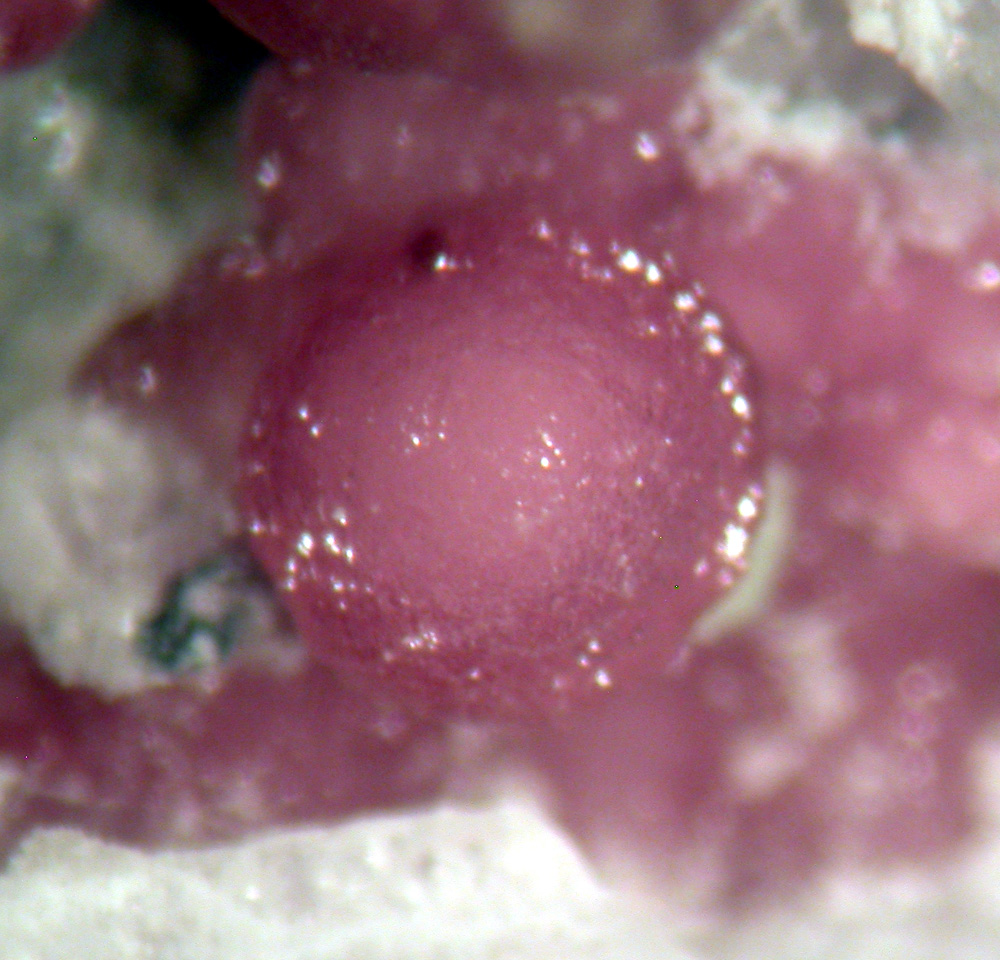 Variscite & Leucophosphite