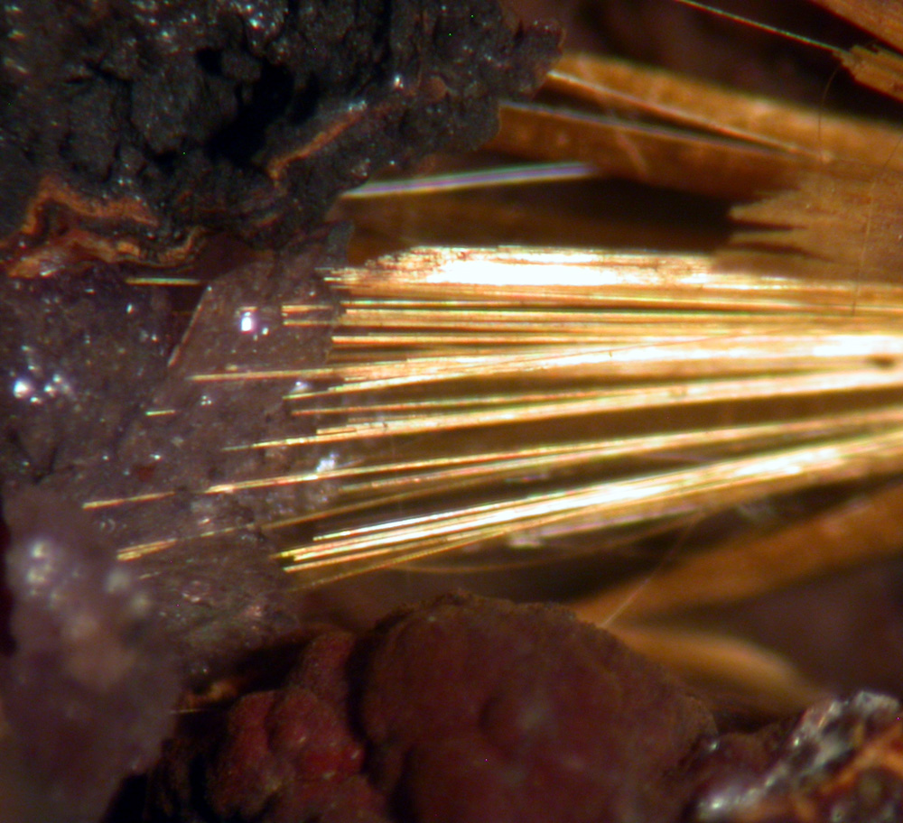 Cacoxenite & Strengite