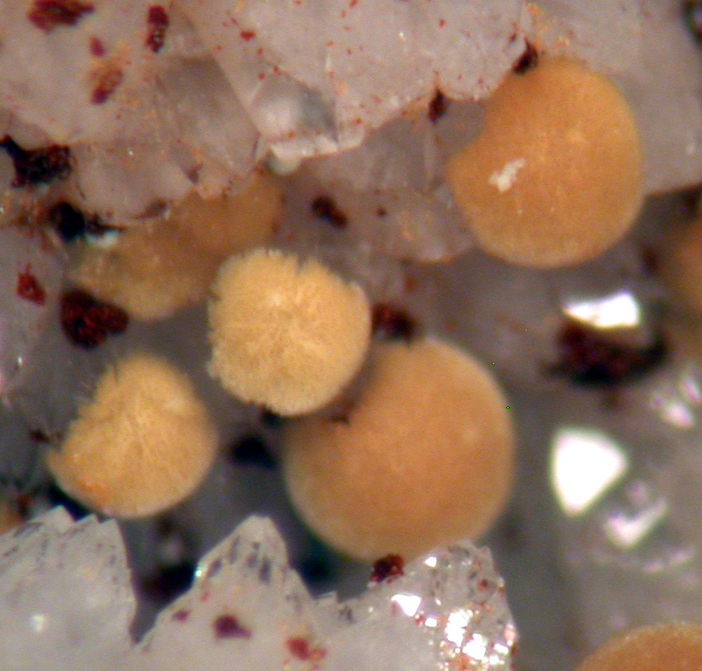 Meurigite-K & Lipscombite