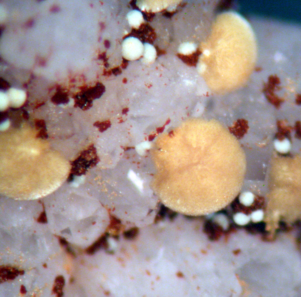 Meurigite-K & Lipscombite