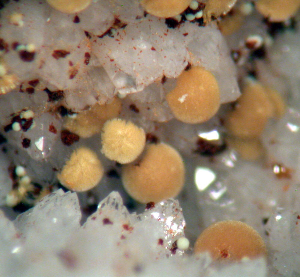 Meurigite-K & Lipscombite