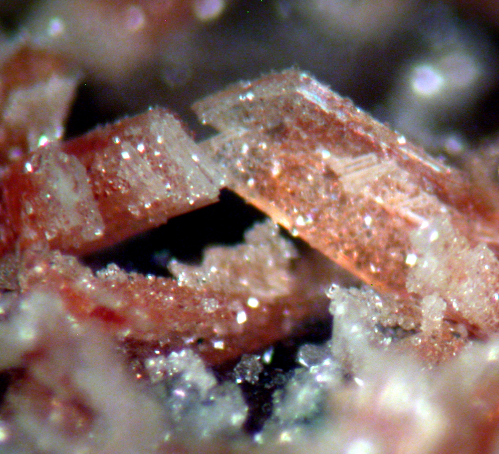 Montgomeryite Englishite & Whitlockite