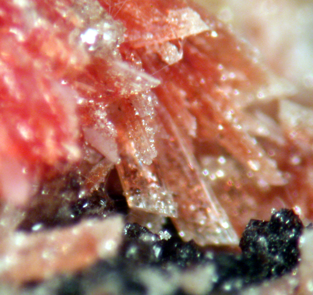 Montgomeryite Englishite & Whitlockite