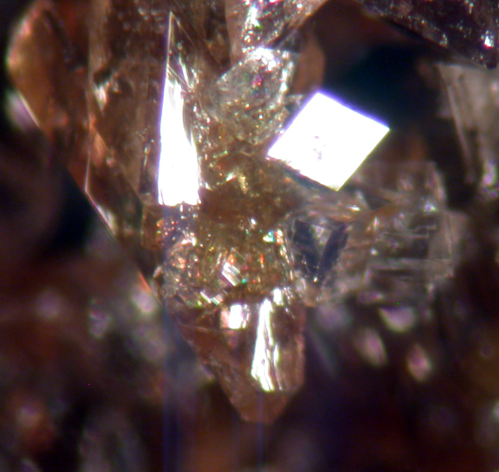 Whitlockite & Hureaulite