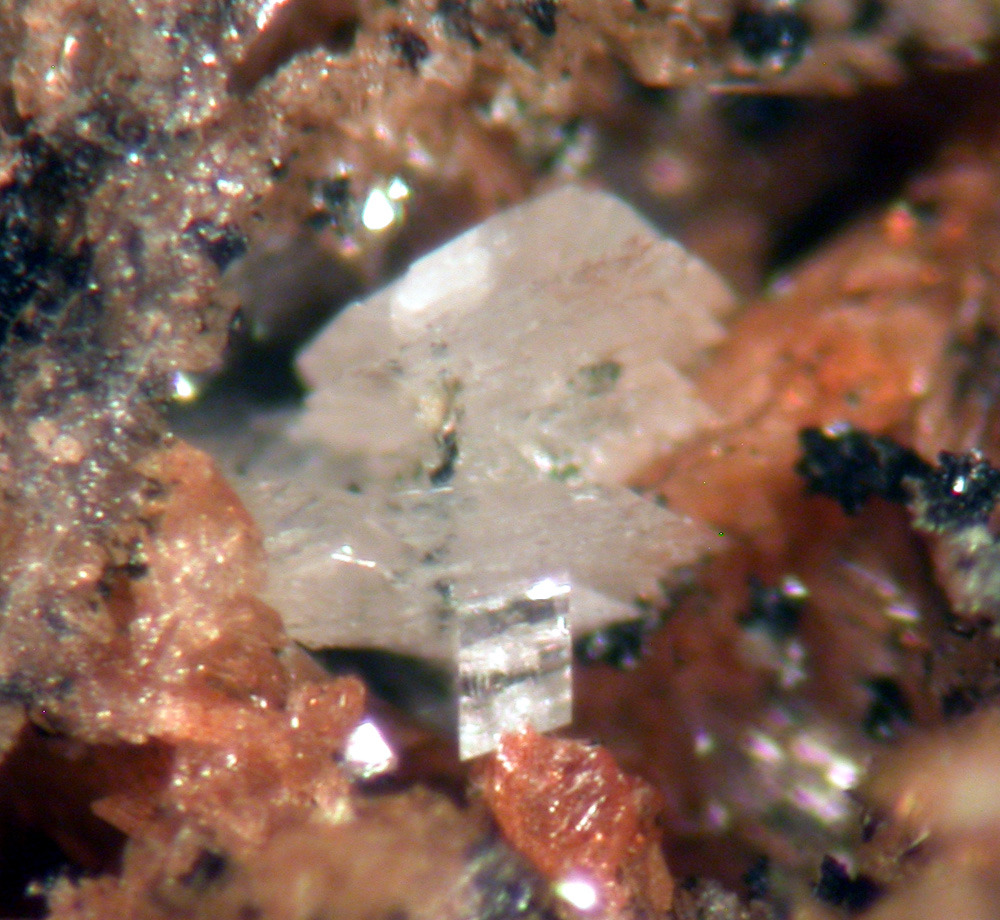 Fairfieldite & Whitlockite