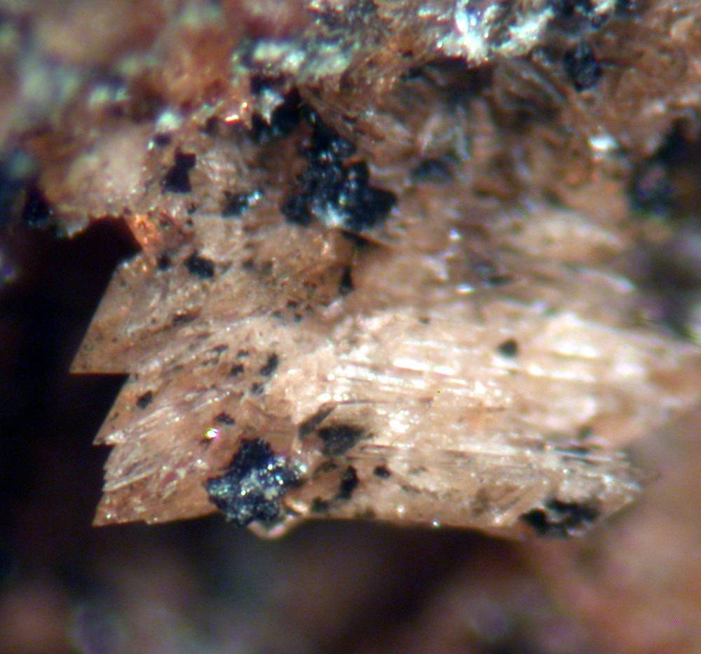 Fairfieldite & Whitlockite