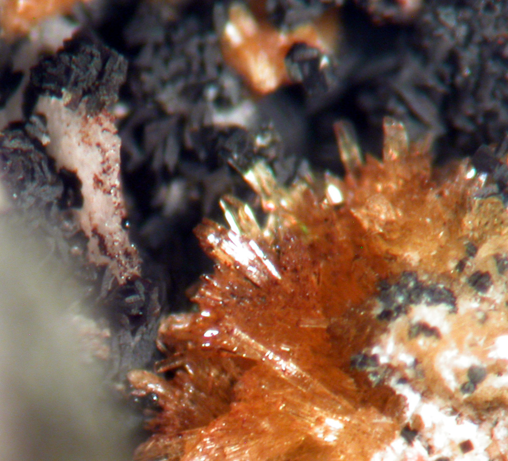 Stewartite Strengite & Rockbridgeite