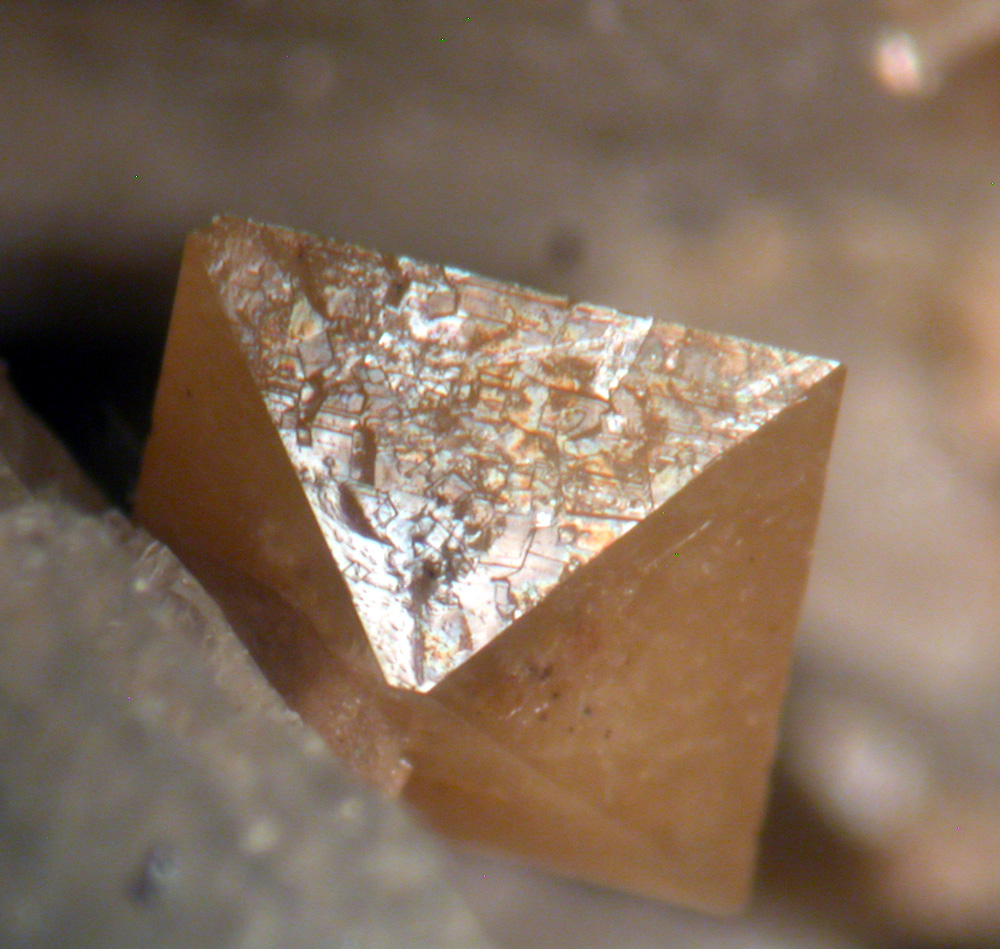 Xenotime-(Y) & Orthoclase