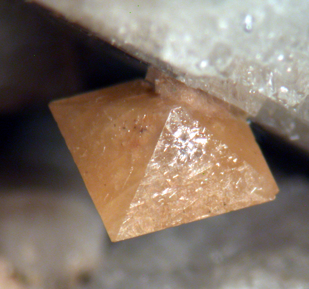 Xenotime-(Y) & Orthoclase