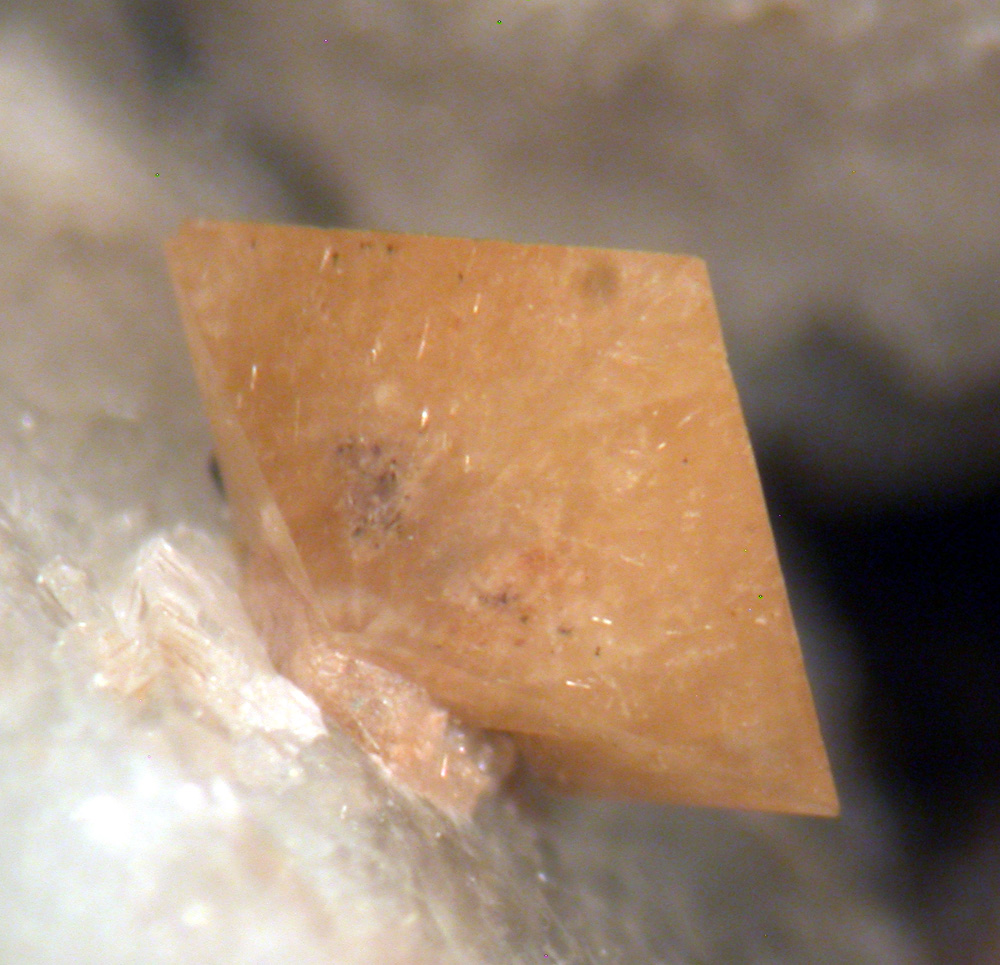 Xenotime-(Y) & Orthoclase