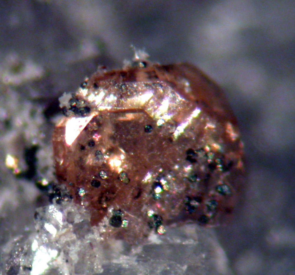 Monazite-(Ce) Tourmaline & Adularia