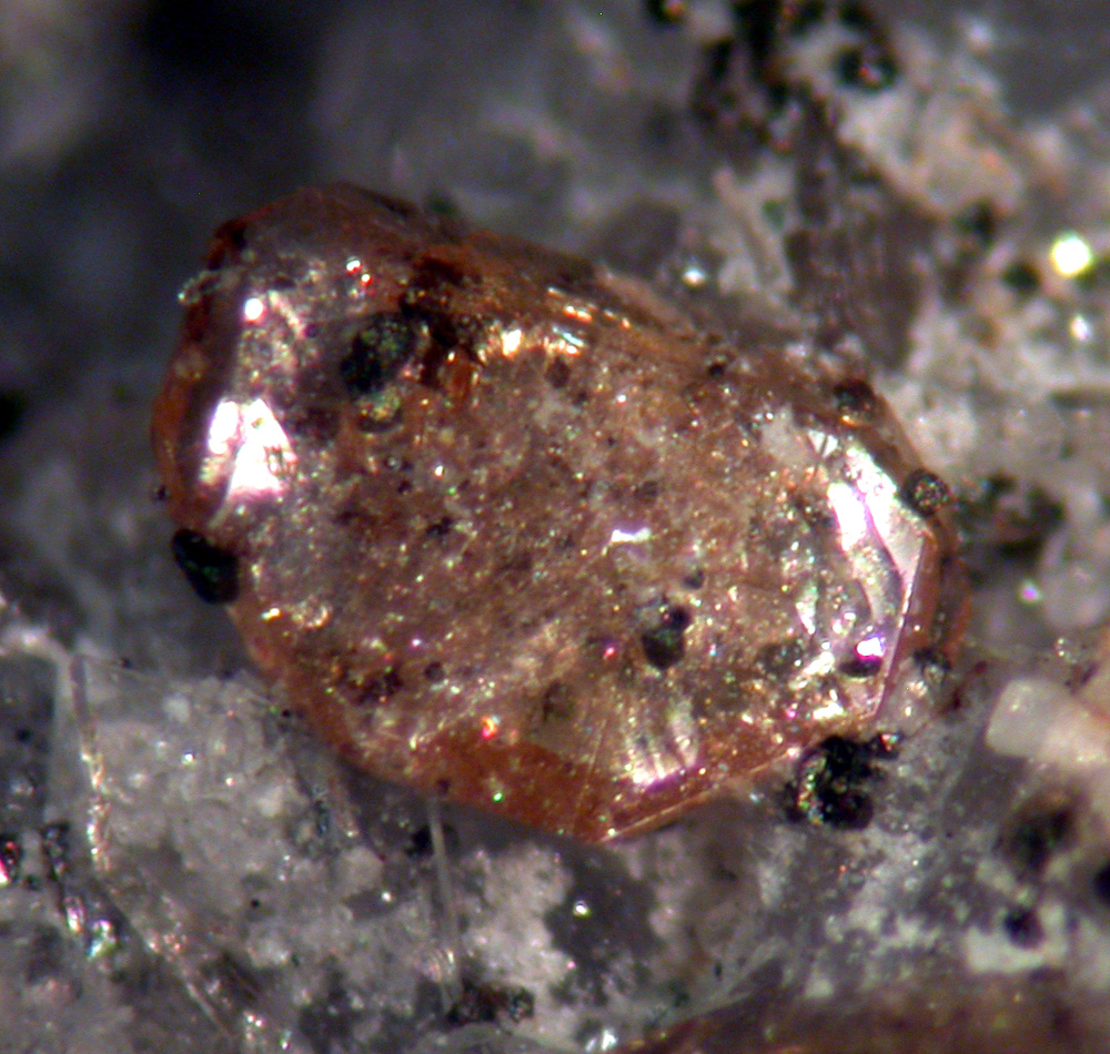 Monazite-(Ce) Tourmaline & Adularia