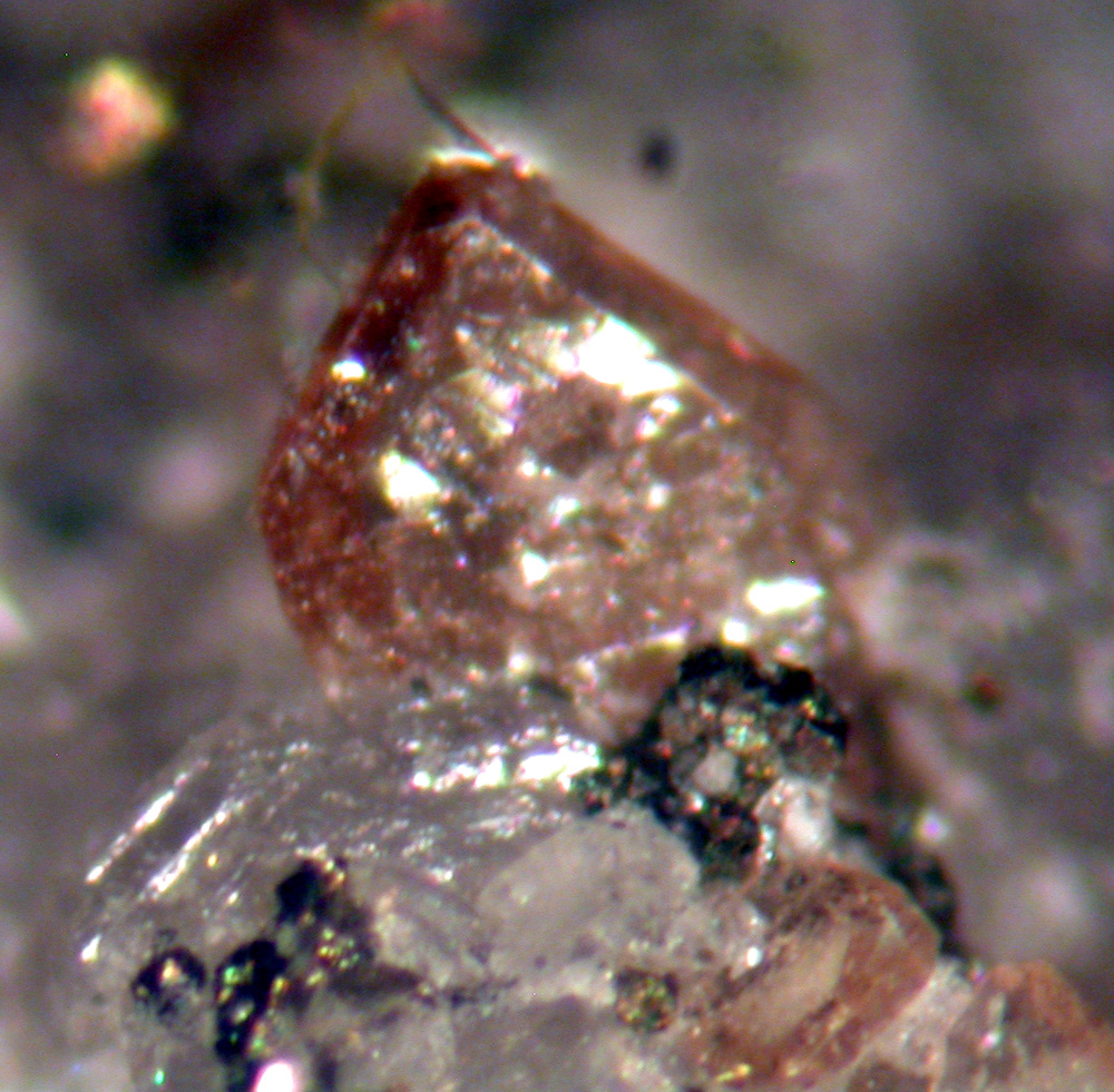 Monazite-(Ce) Tourmaline & Adularia