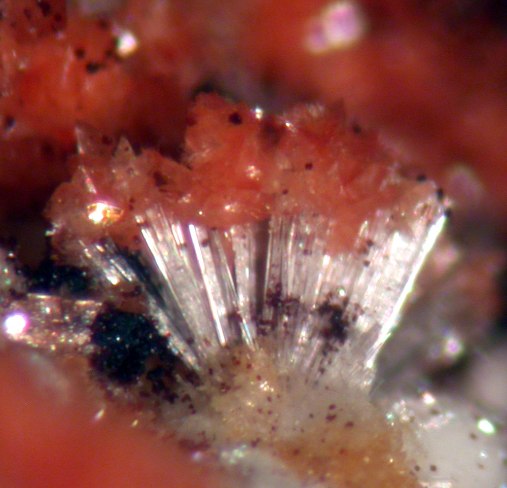 Tiptopite Montgomeryite Robertsite Englishite & Roscherite