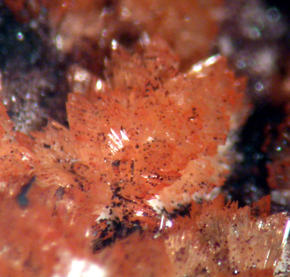 Tiptopite Montgomeryite Robertsite Englishite & Roscherite