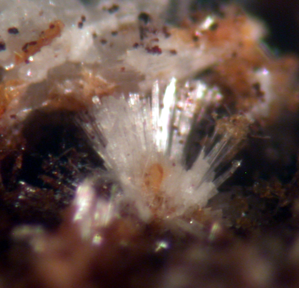 Tiptopite Montgomeryite Robertsite Englishite & Roscherite