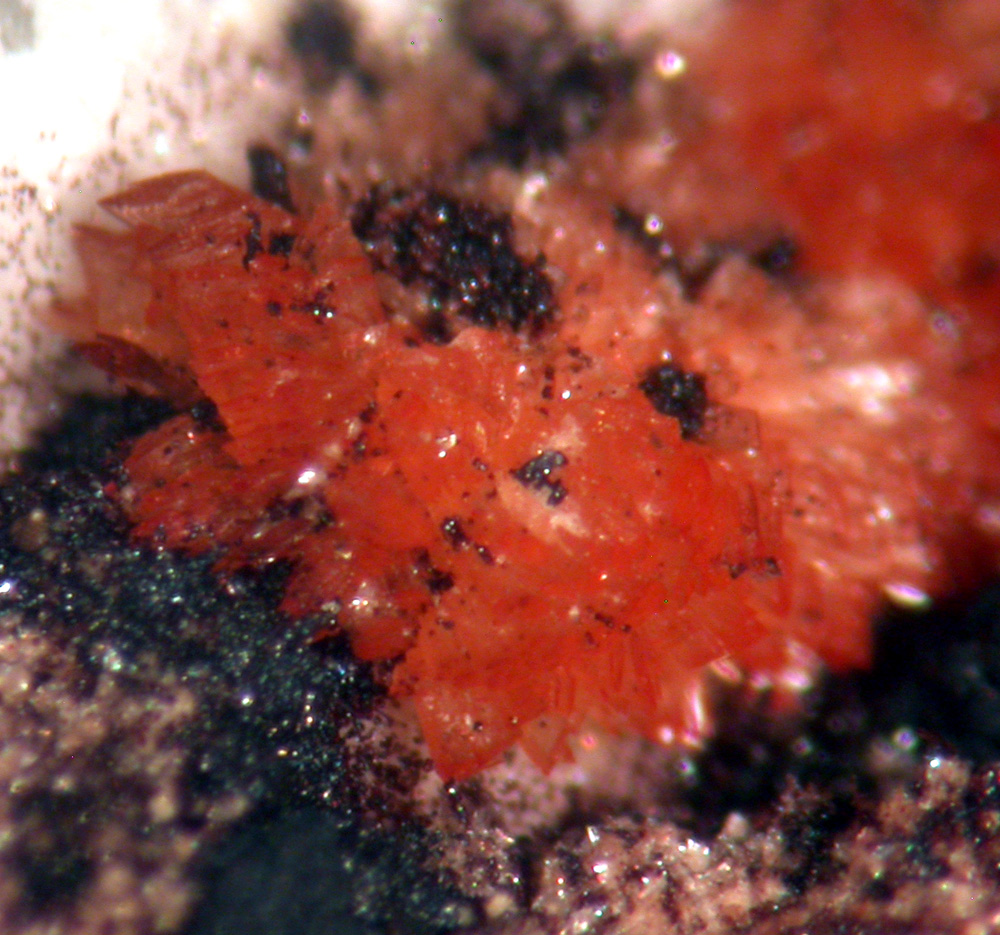 Tiptopite Montgomeryite Robertsite Englishite & Roscherite