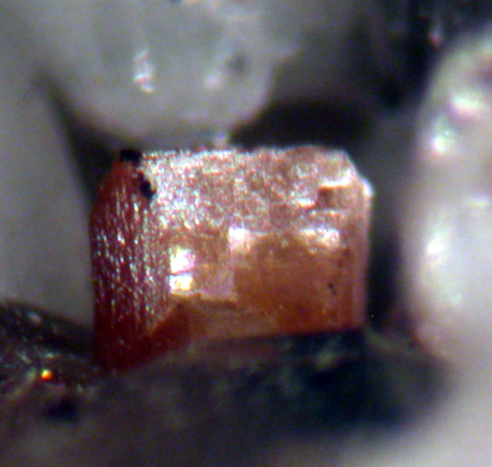 Aeschynite-(Y) & Quartz