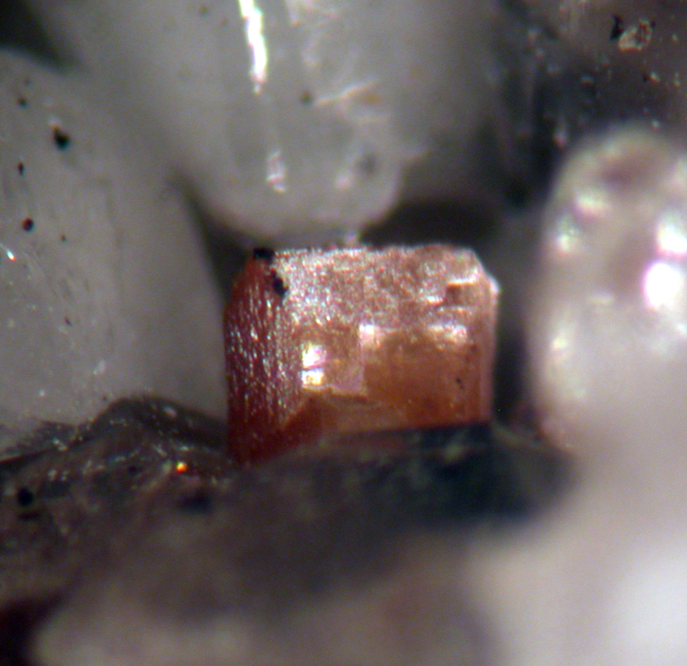 Aeschynite-(Y) & Quartz