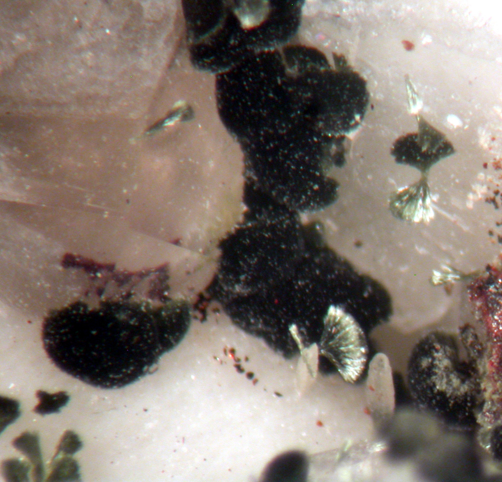 Pumpellyite & Kainosite-(Y)