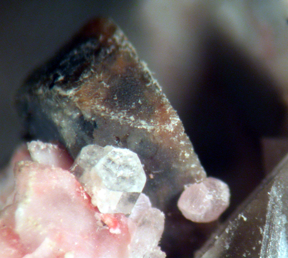 Calcioancylite-(Nd) & Gadolinite-(Y)