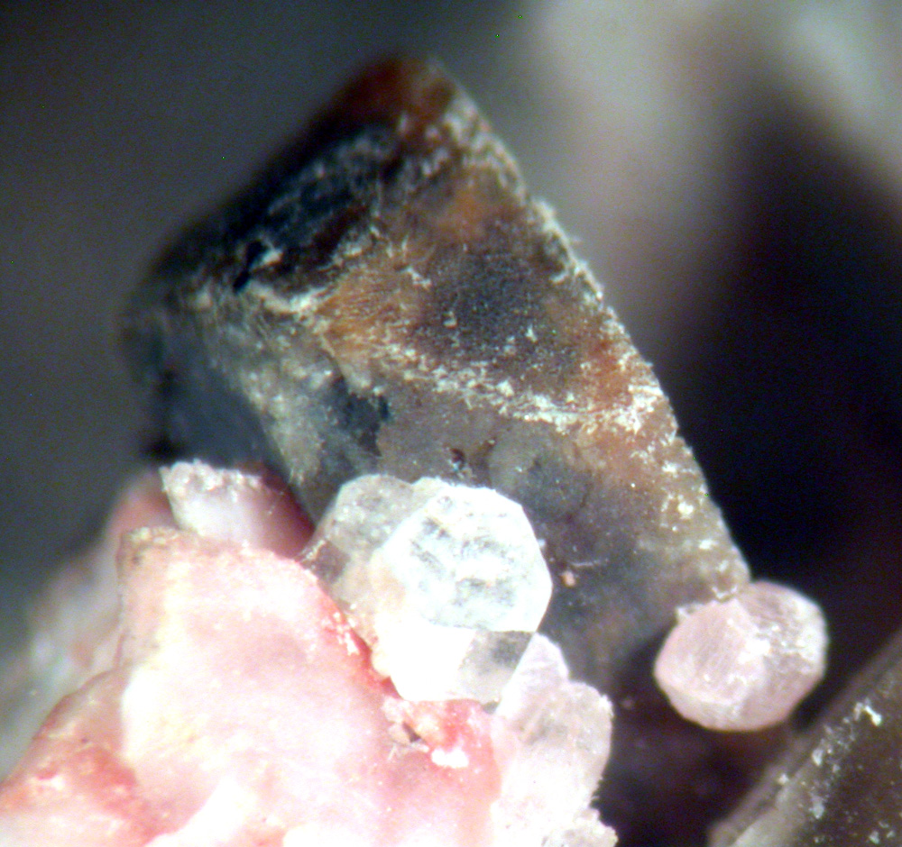 Calcioancylite-(Nd) & Gadolinite-(Y)