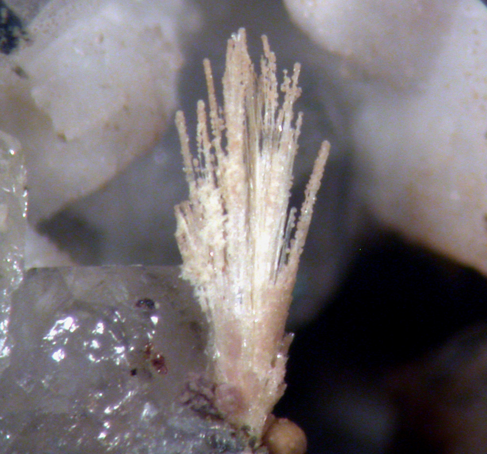 Jervisite & Thortveitite