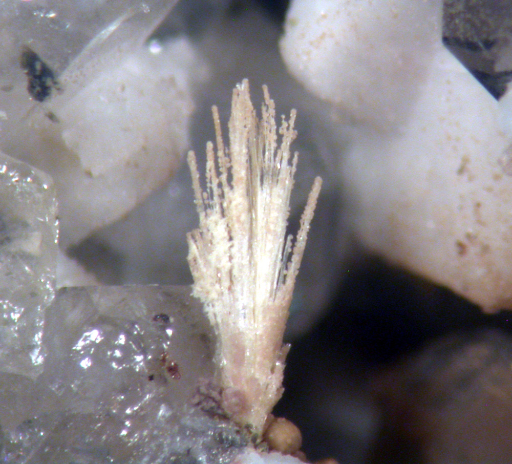 Jervisite & Thortveitite