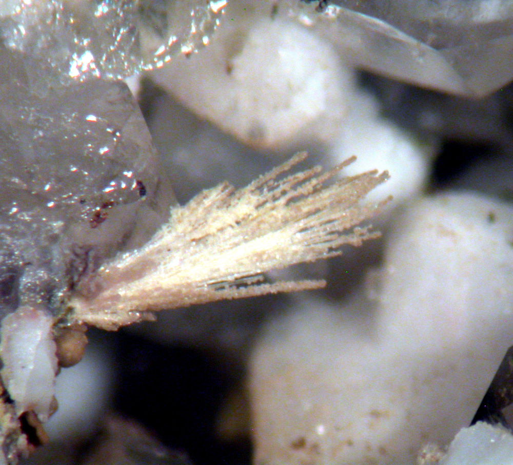 Jervisite & Thortveitite