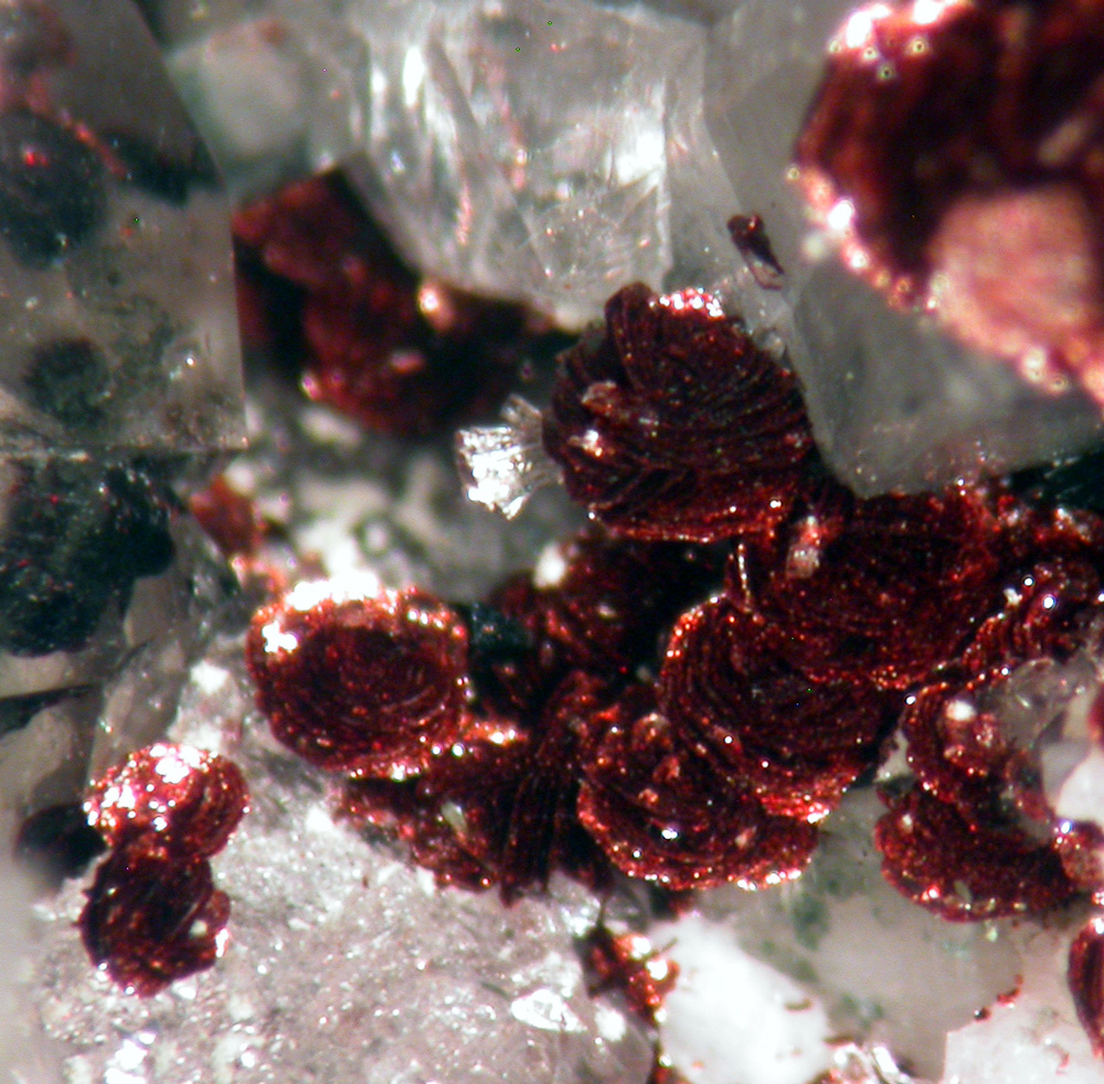 Fluorite Epidote Pumpellyite Hematite & Gadolinite