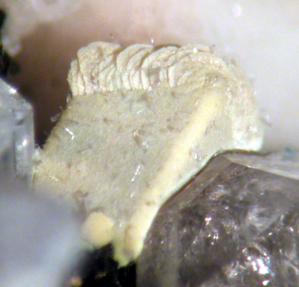 Hellandite-(Y) & Gadolinite-(Y)
